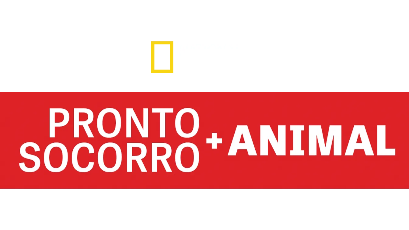 Pronto-Socorro Animal