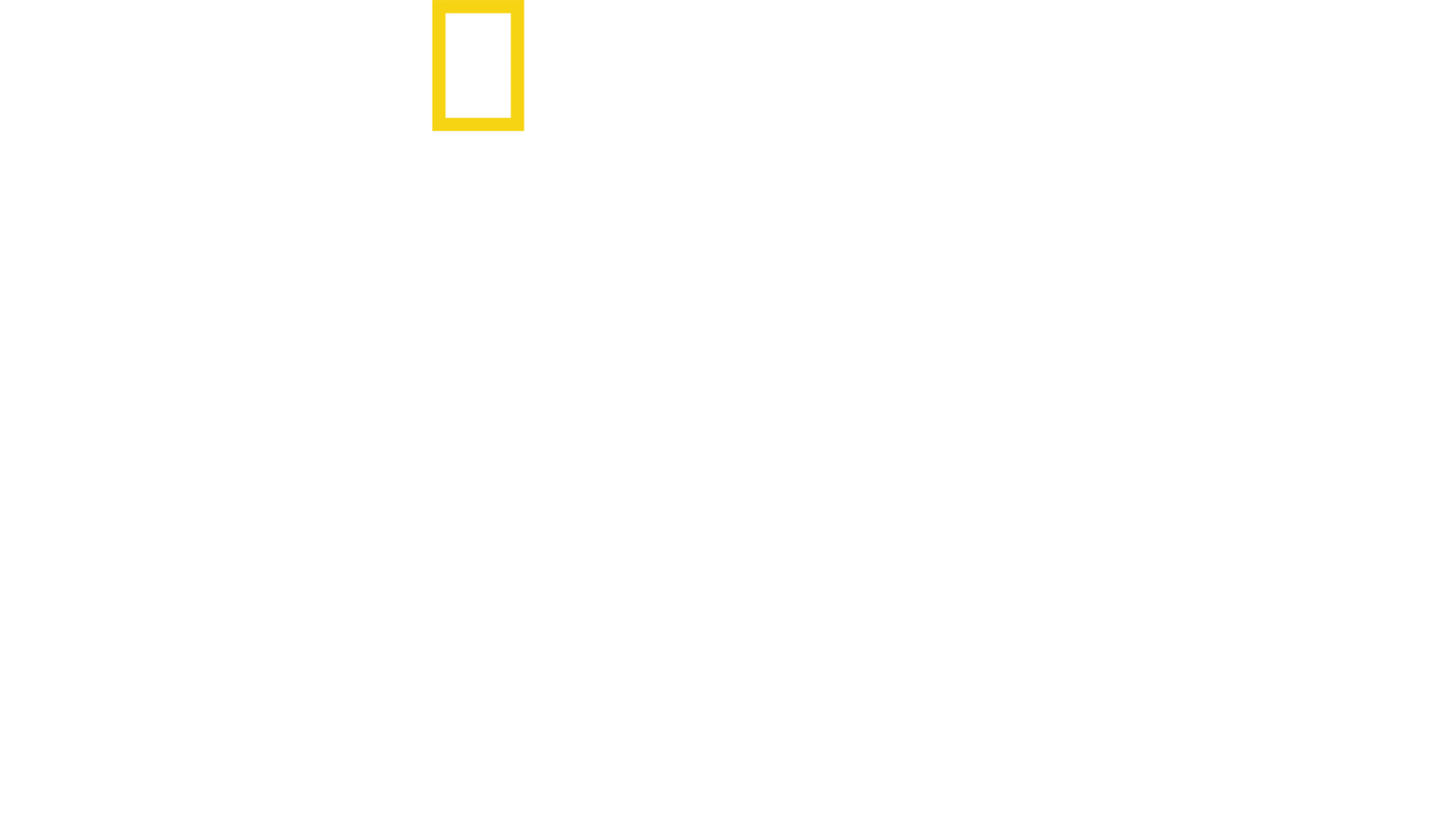 Jak chytit pašeráka