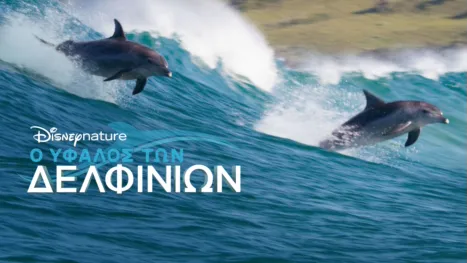 thumbnail - Ο Ύφαλος των Δελφινιών