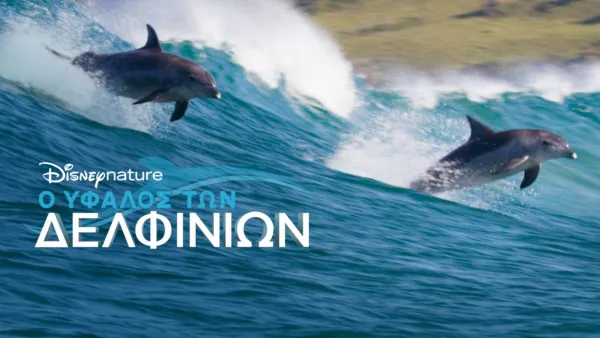 thumbnail - Ο Ύφαλος των Δελφινιών