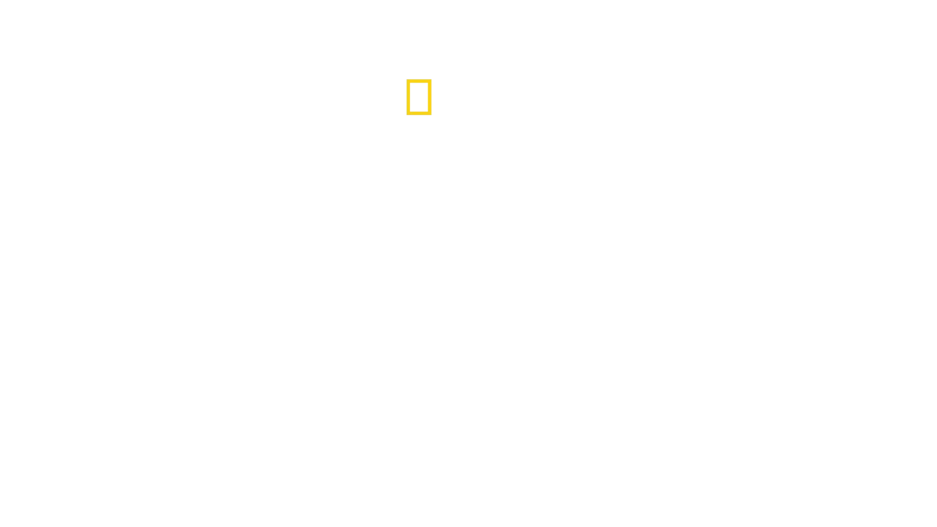 Bertie Gregory: bliskie spotkanie z rekinami