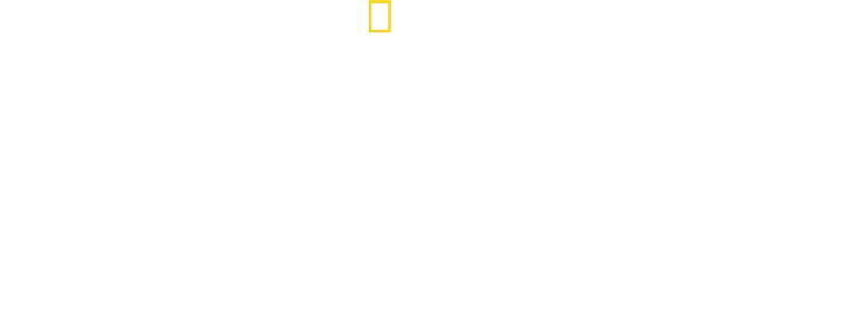 Bertie Gregory: bliskie spotkanie z rekinami
