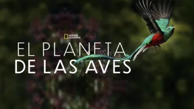 El Planeta de las Aves