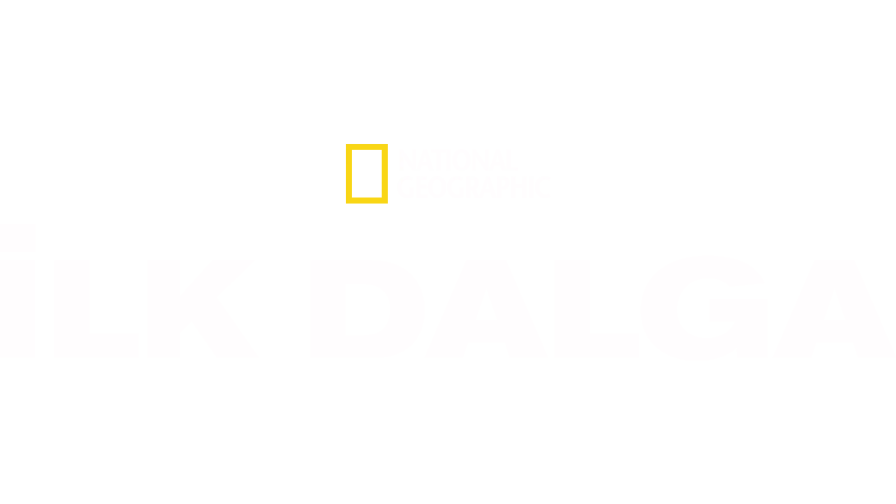İlk Dalga