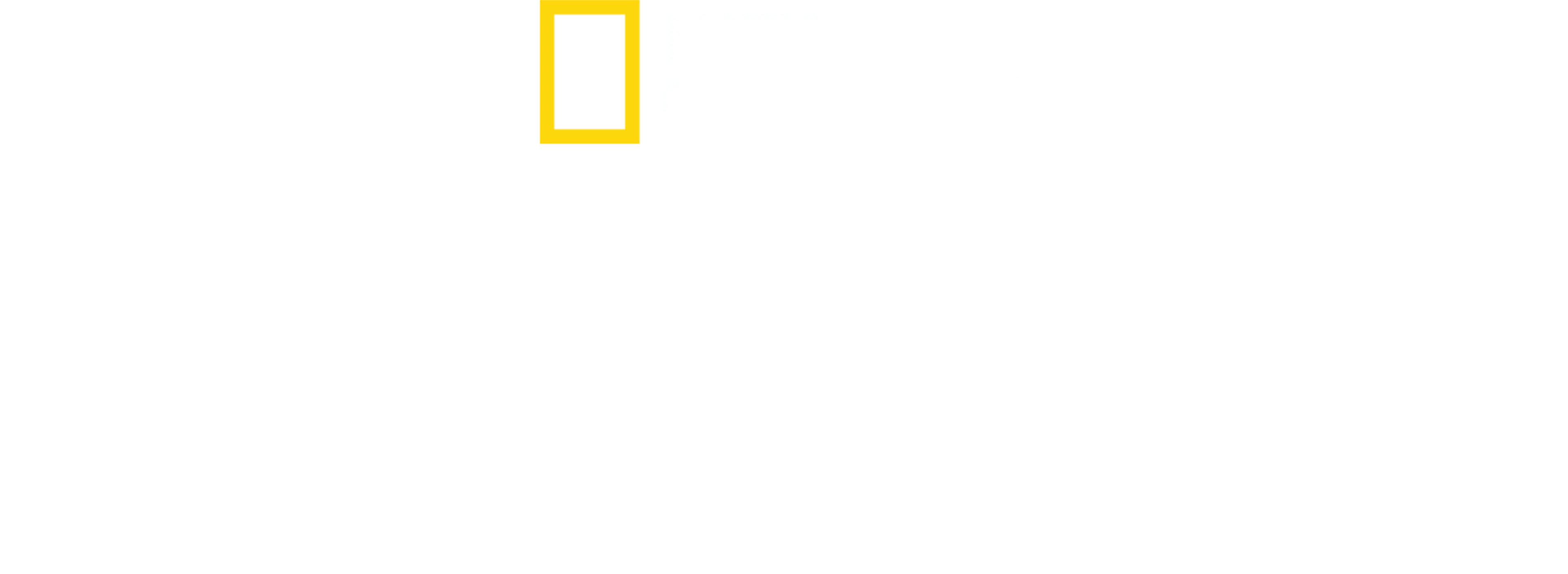 Orașe pierdute, cu Albert Lin