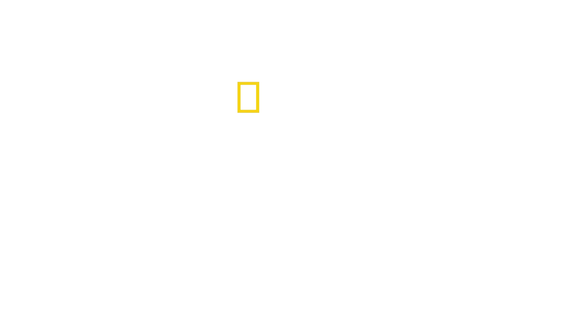 Into the Canyon
