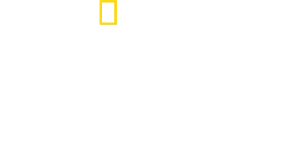 Shark Beach with Anthony Mackie: Gulf Coast