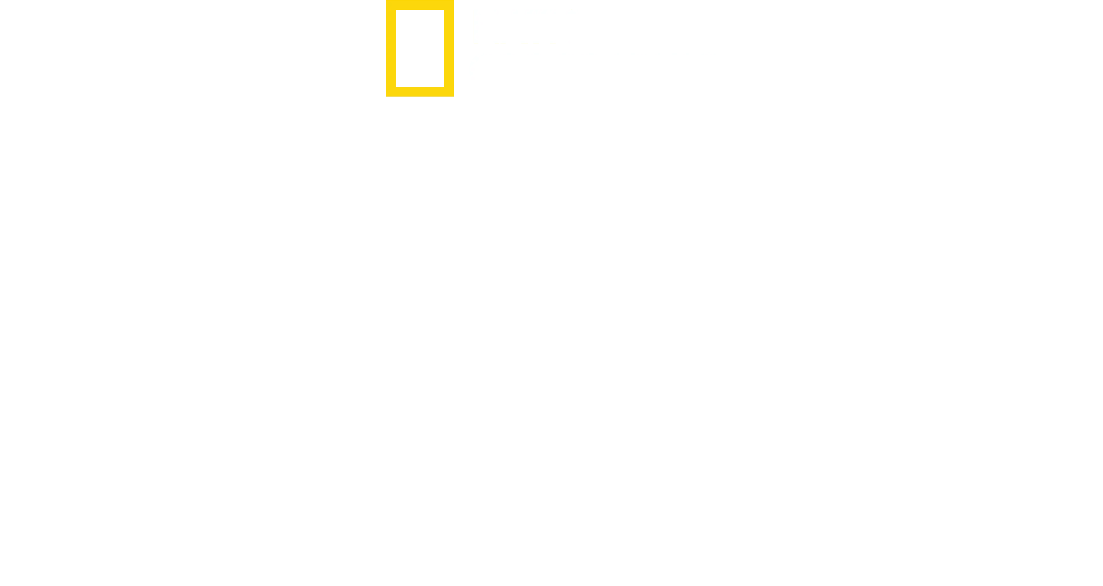 Shark Beach with Anthony Mackie: Gulf Coast