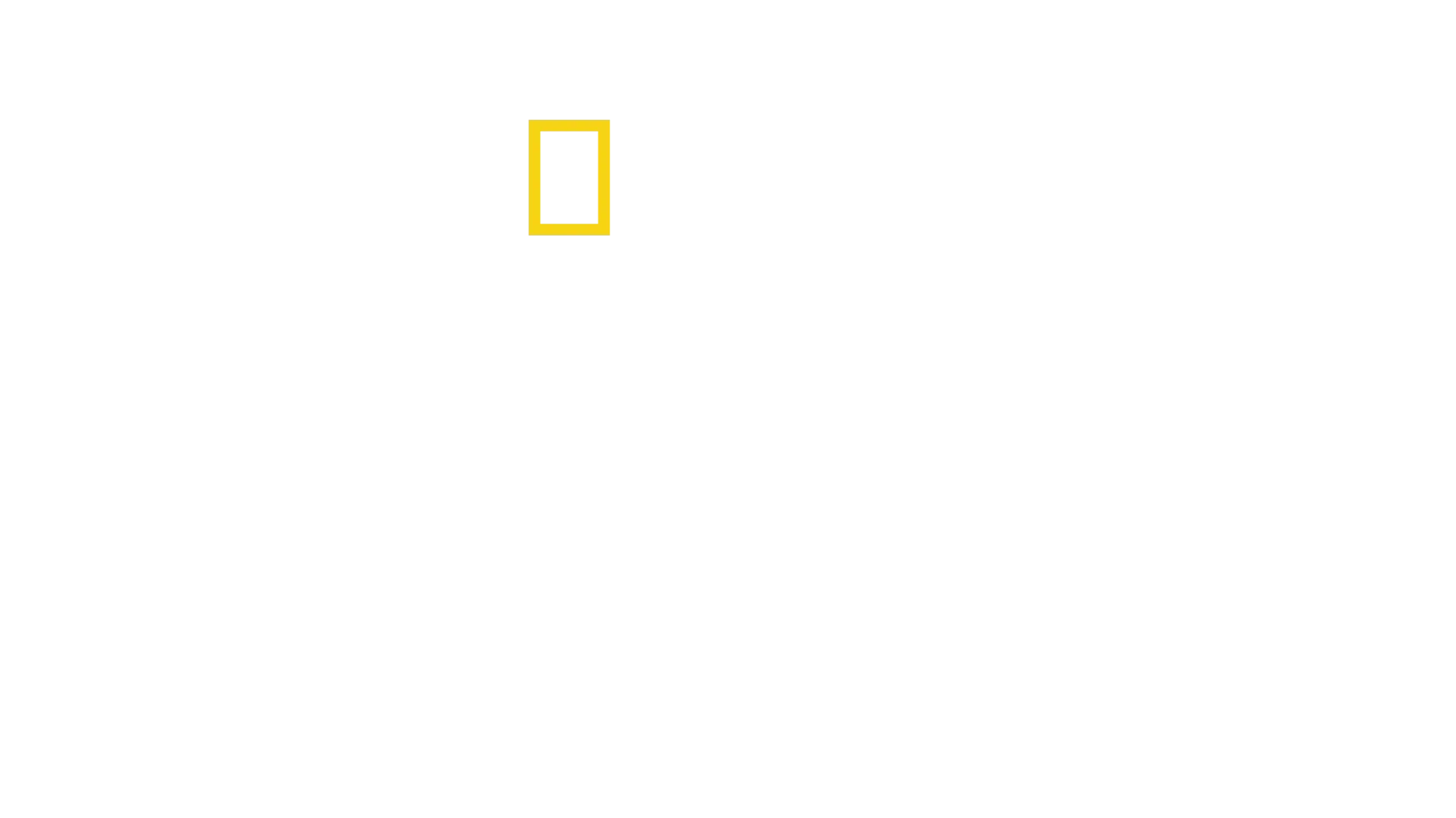 Antoni Porowski: Elämänmakuiset reseptit