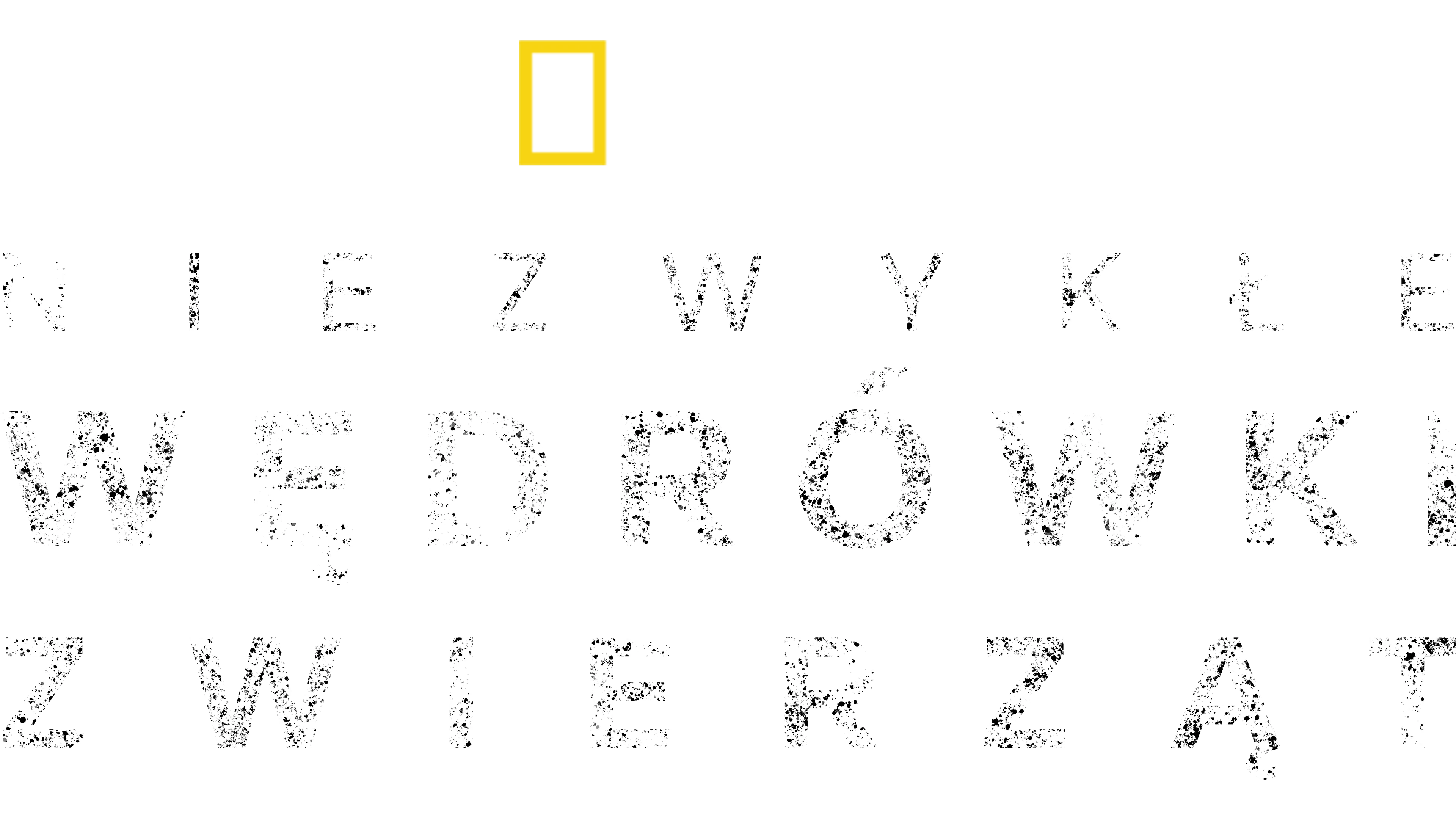 Niezwykłe wędrówki zwierząt