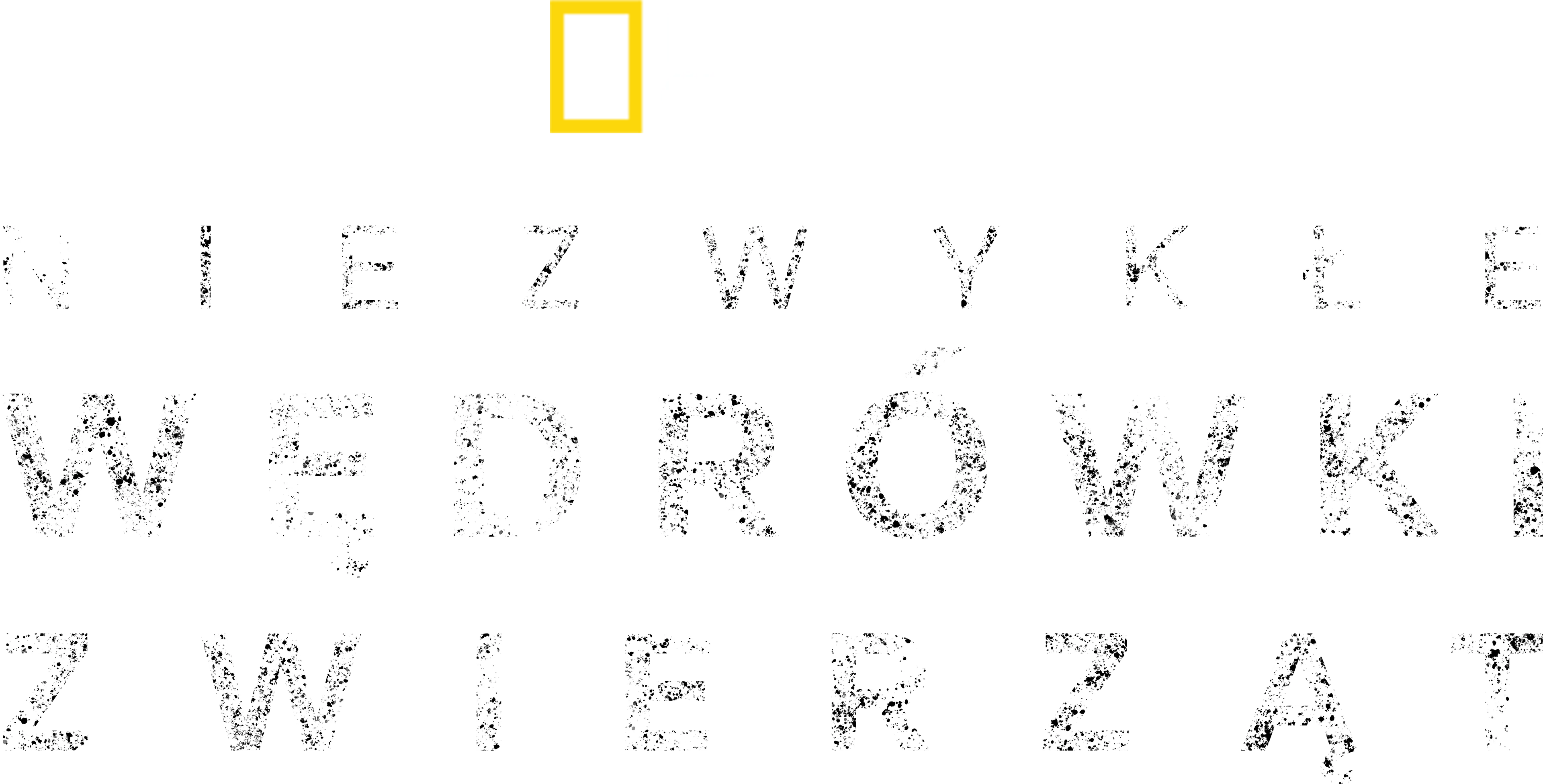 Niezwykłe wędrówki zwierząt