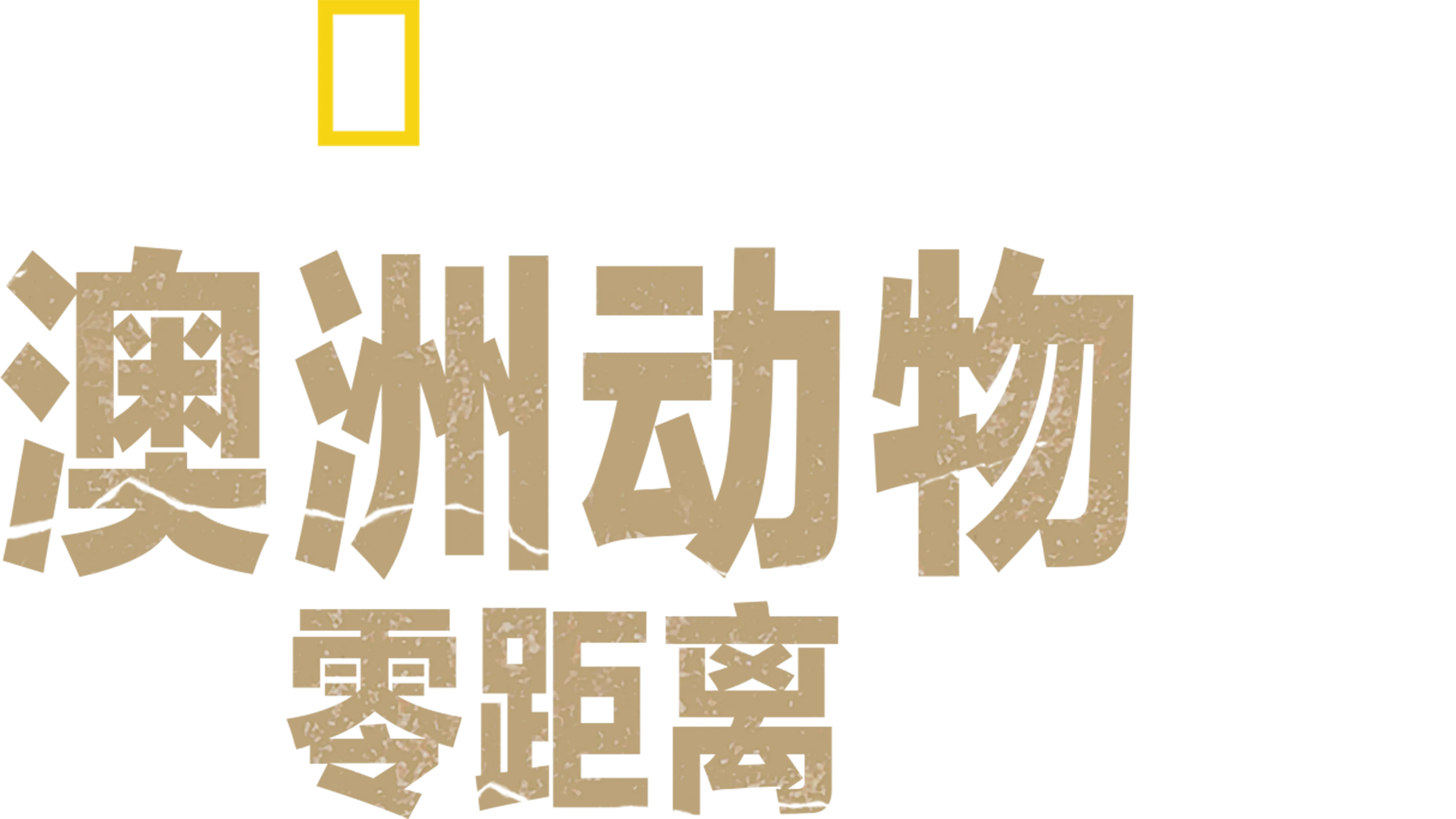 澳洲动物零距离