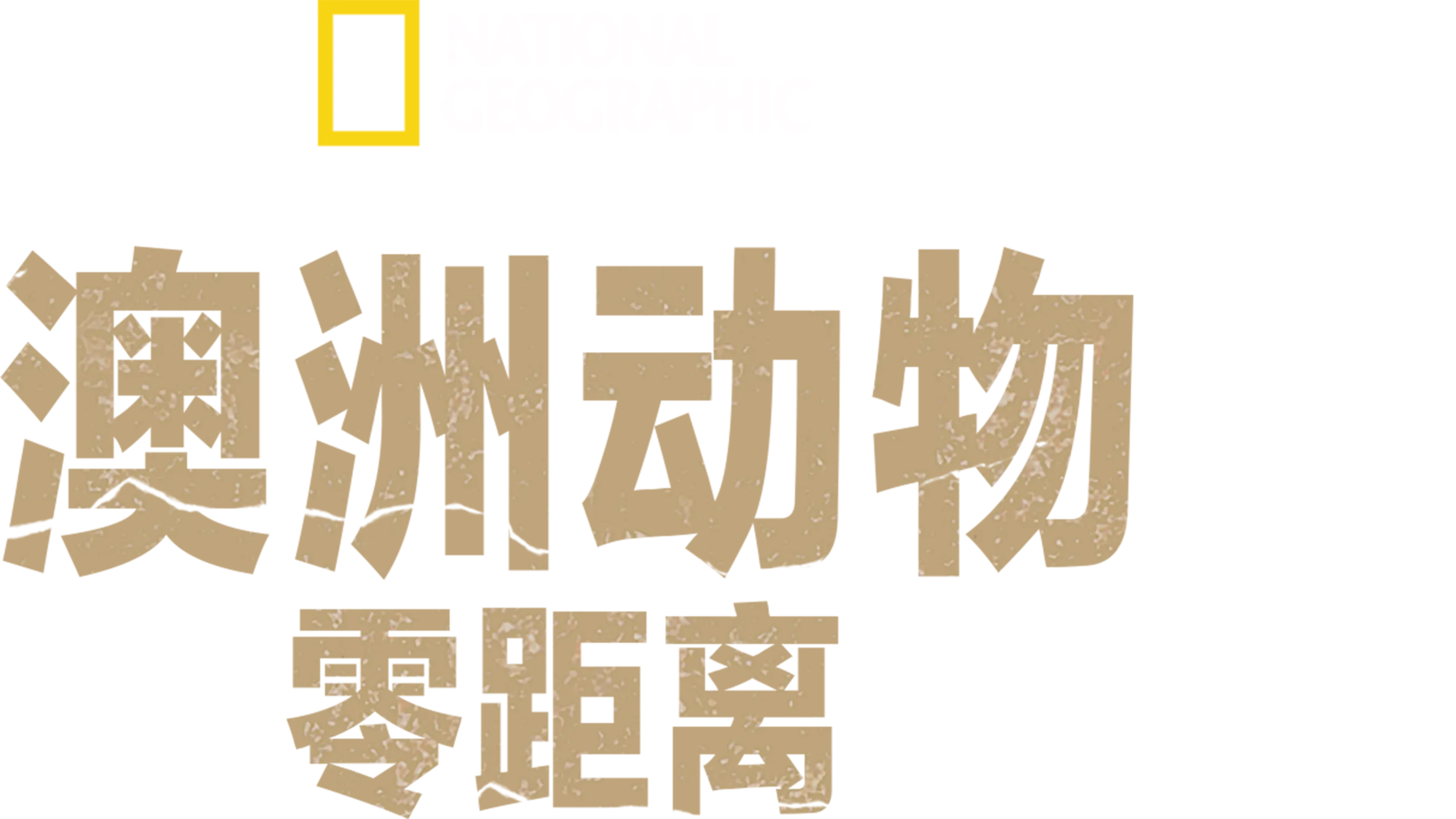 澳洲动物零距离