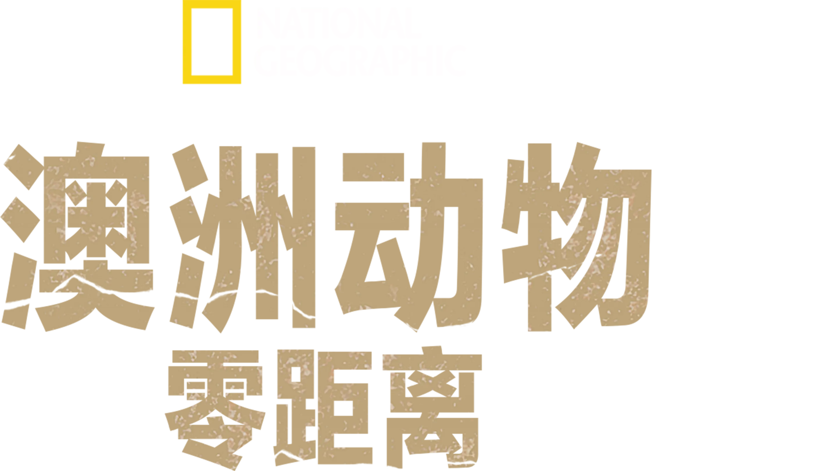 澳洲动物零距离