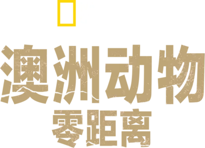 澳洲动物零距离