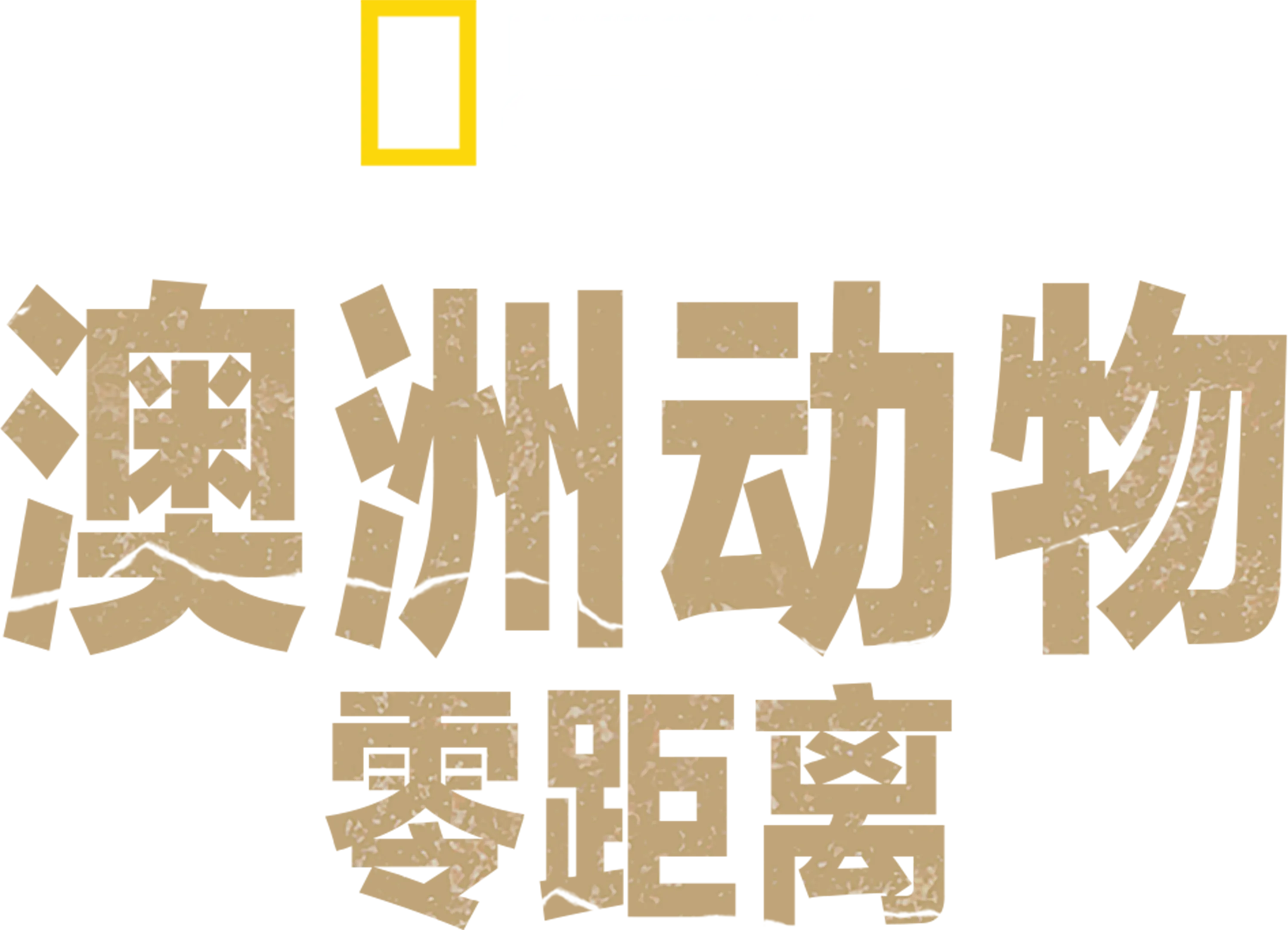 澳洲动物零距离