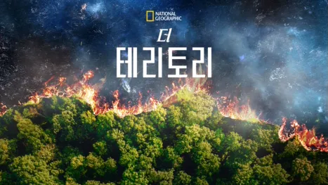 thumbnail - 더 테리토리