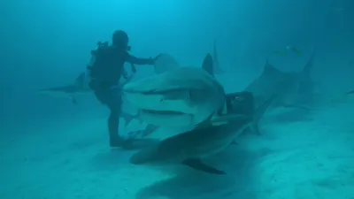 thumbnail - S2:E6 Growing Pains