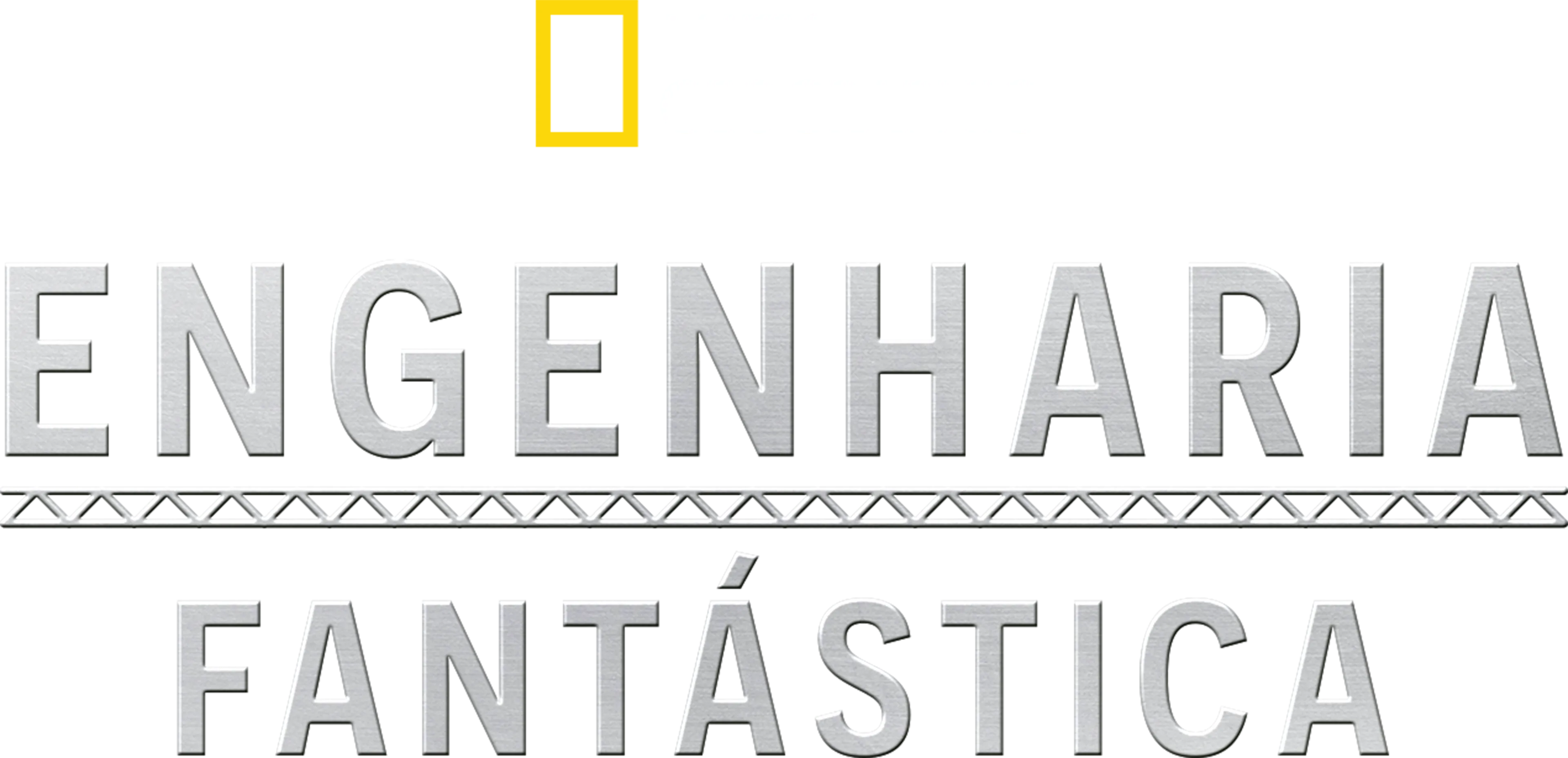 Engenharia Fantástica