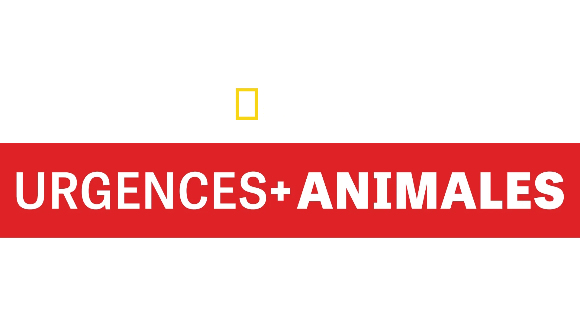 Urgences animales