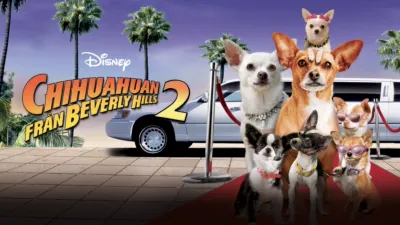 Chihuahuan från Beverly Hills 2