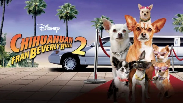 thumbnail - Beverly Hills Chihuahua 2