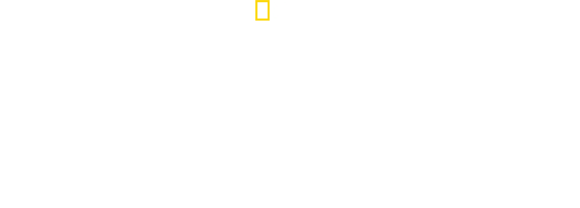 Ayın İzinde Köpekbalıkları