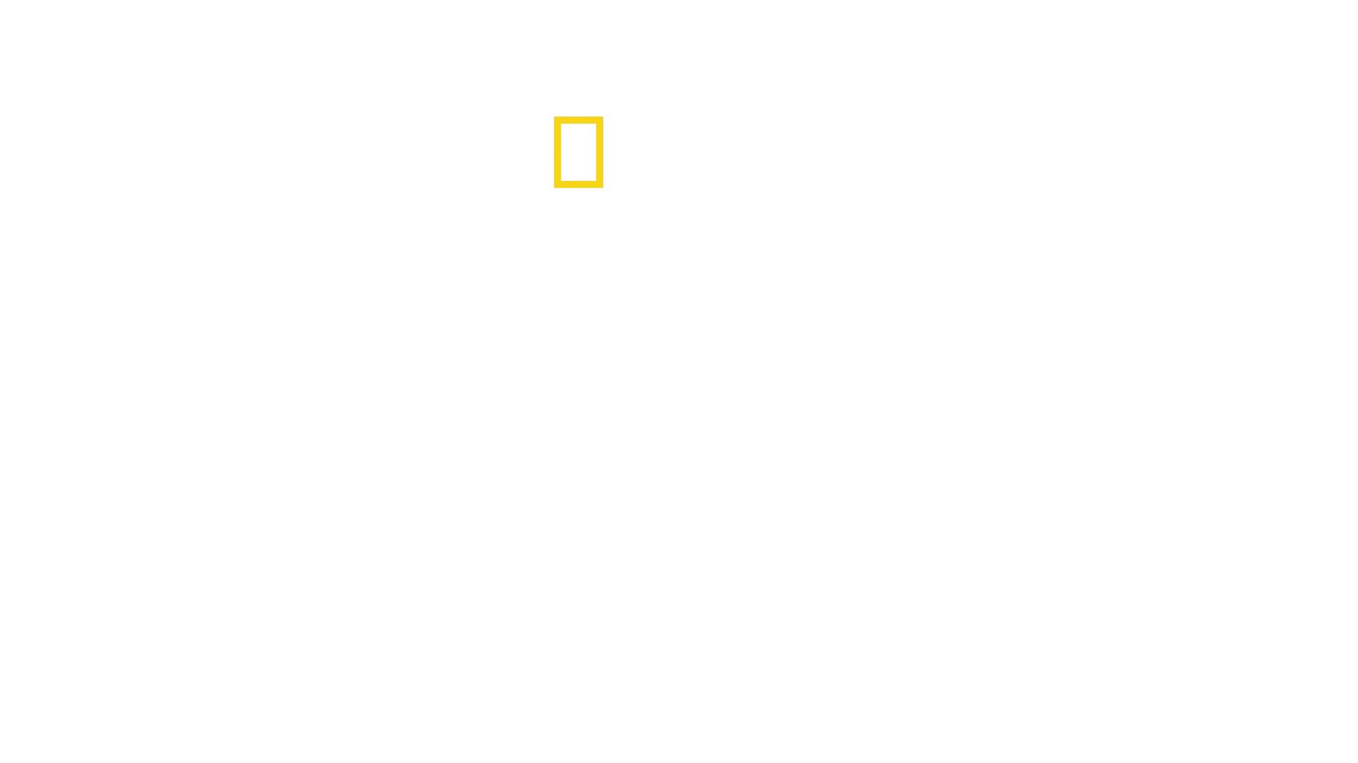 Bertie Gregory: A tu per tu con i Delfini