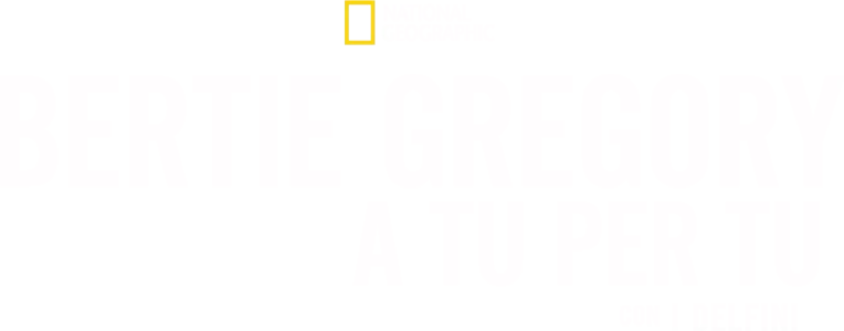 Bertie Gregory: A tu per tu con i Delfini