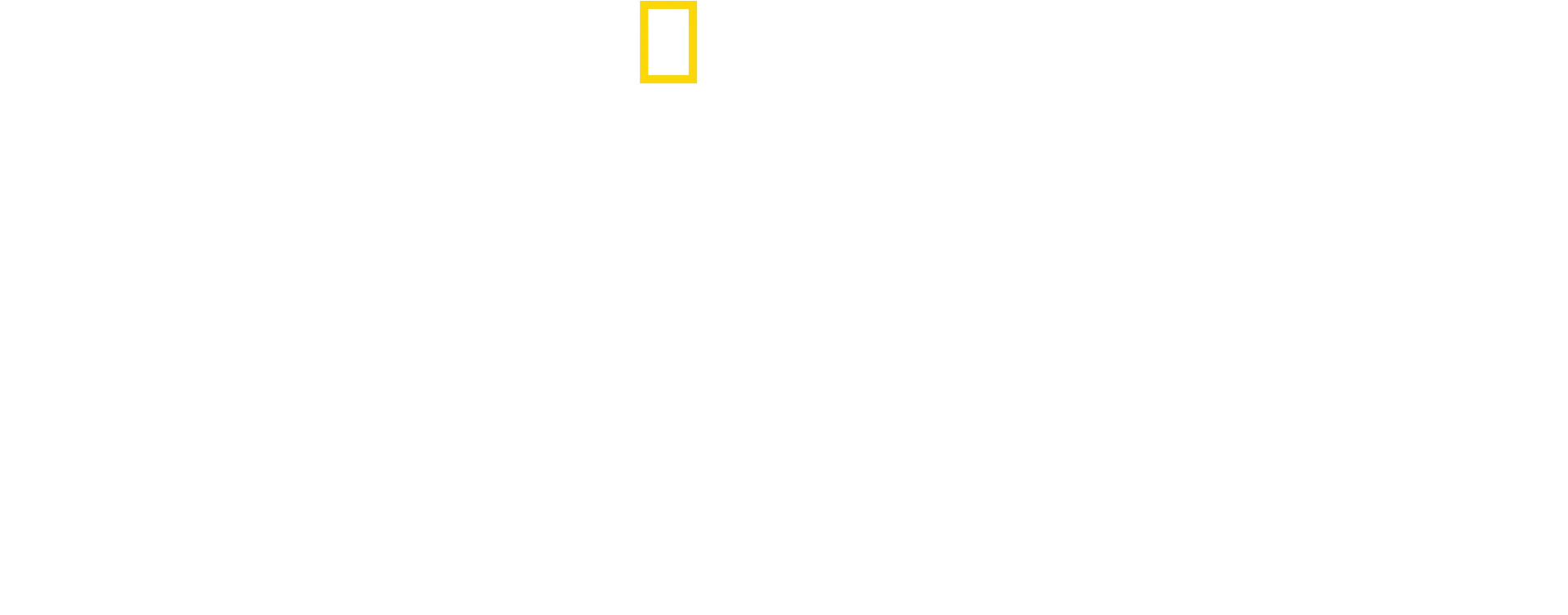 Bertie Gregory: A tu per tu con i Delfini