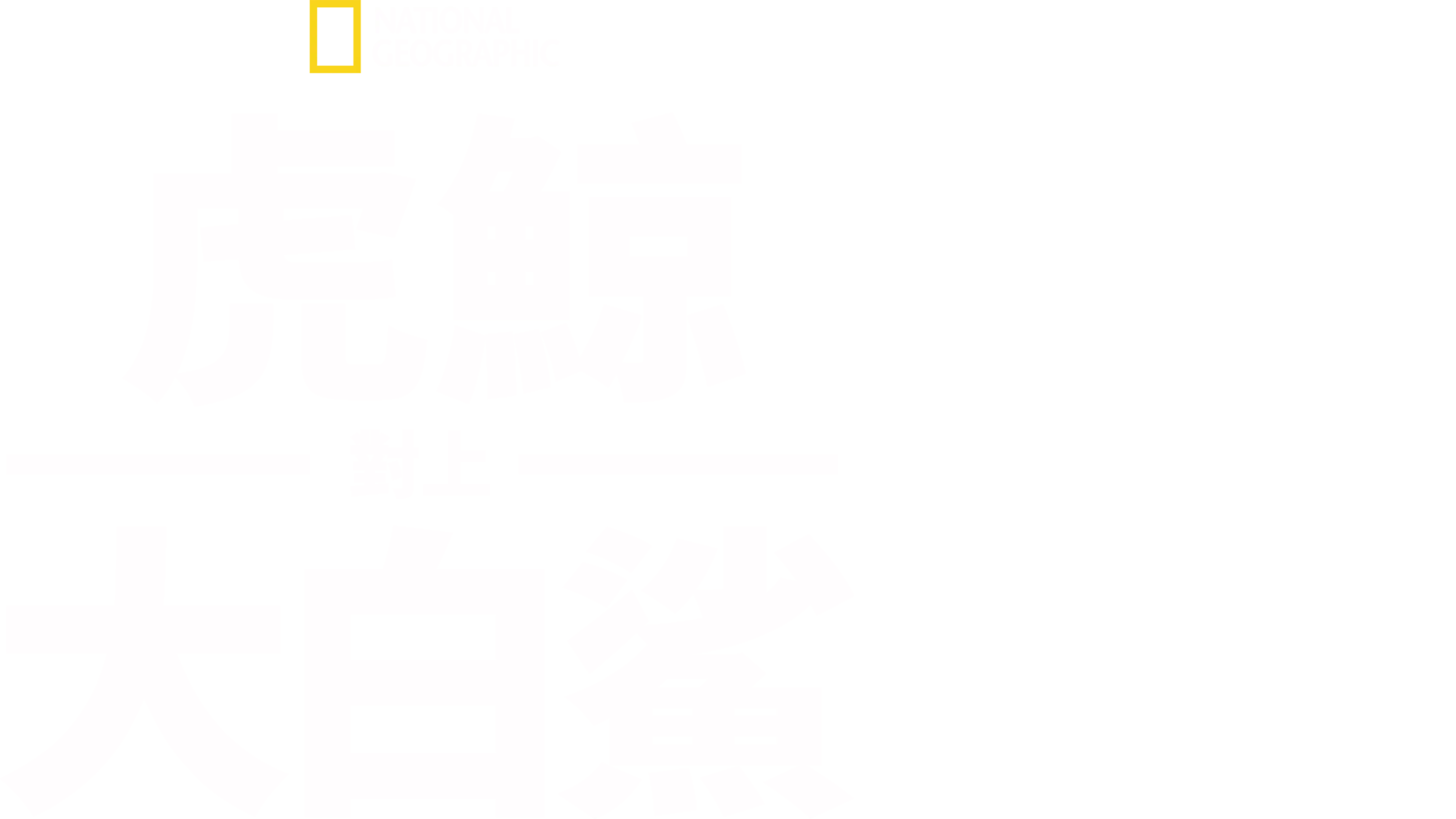 虎鯨對上大白鯊