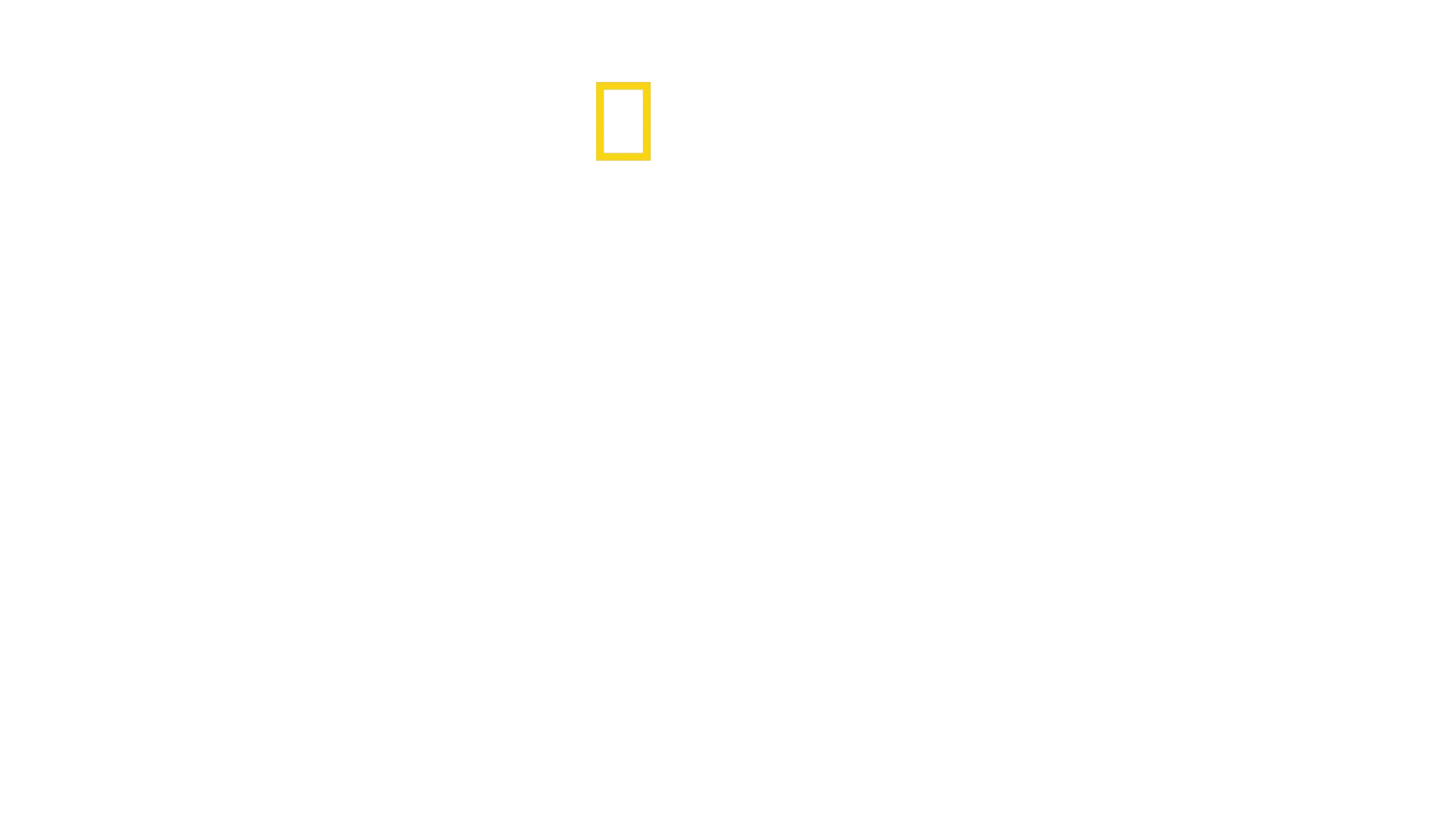 El show del gran tiburón