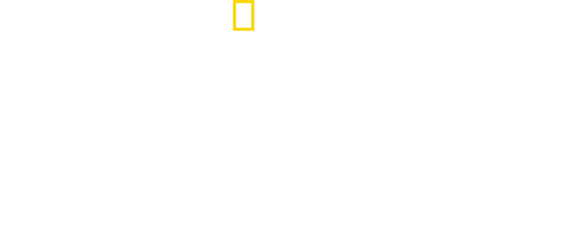 El show del gran tiburón