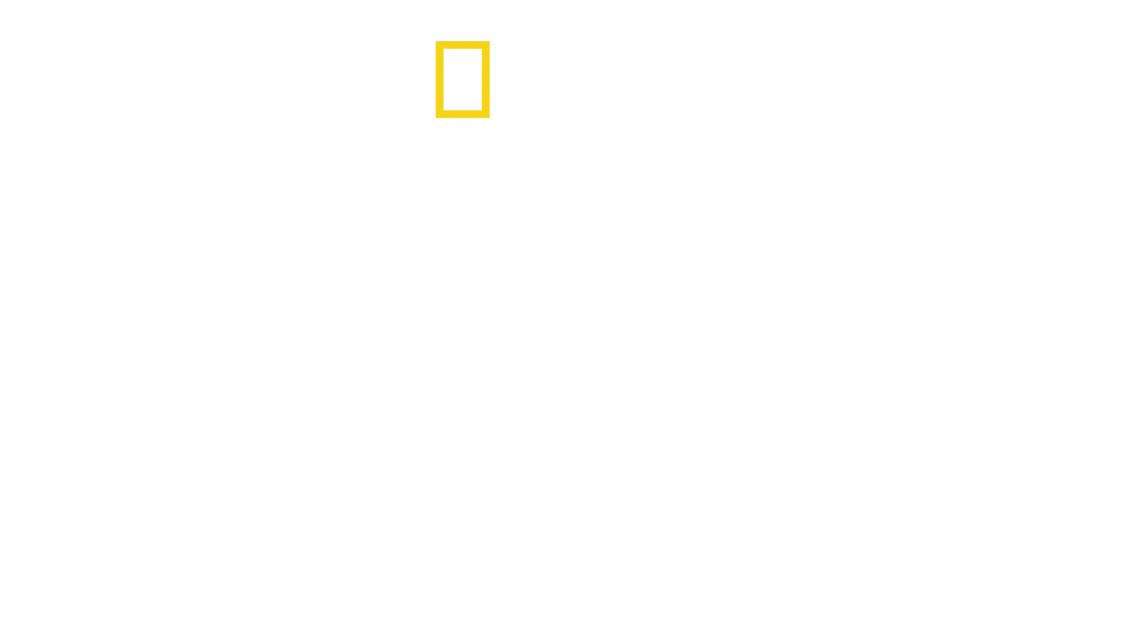 Ναρκωτικά Α.Ε.
