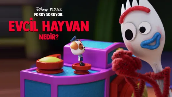 thumbnail - Forky Soruyor: Evcil Hayvan Nedir?