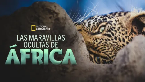 thumbnail - Las maravillas ocultas de África