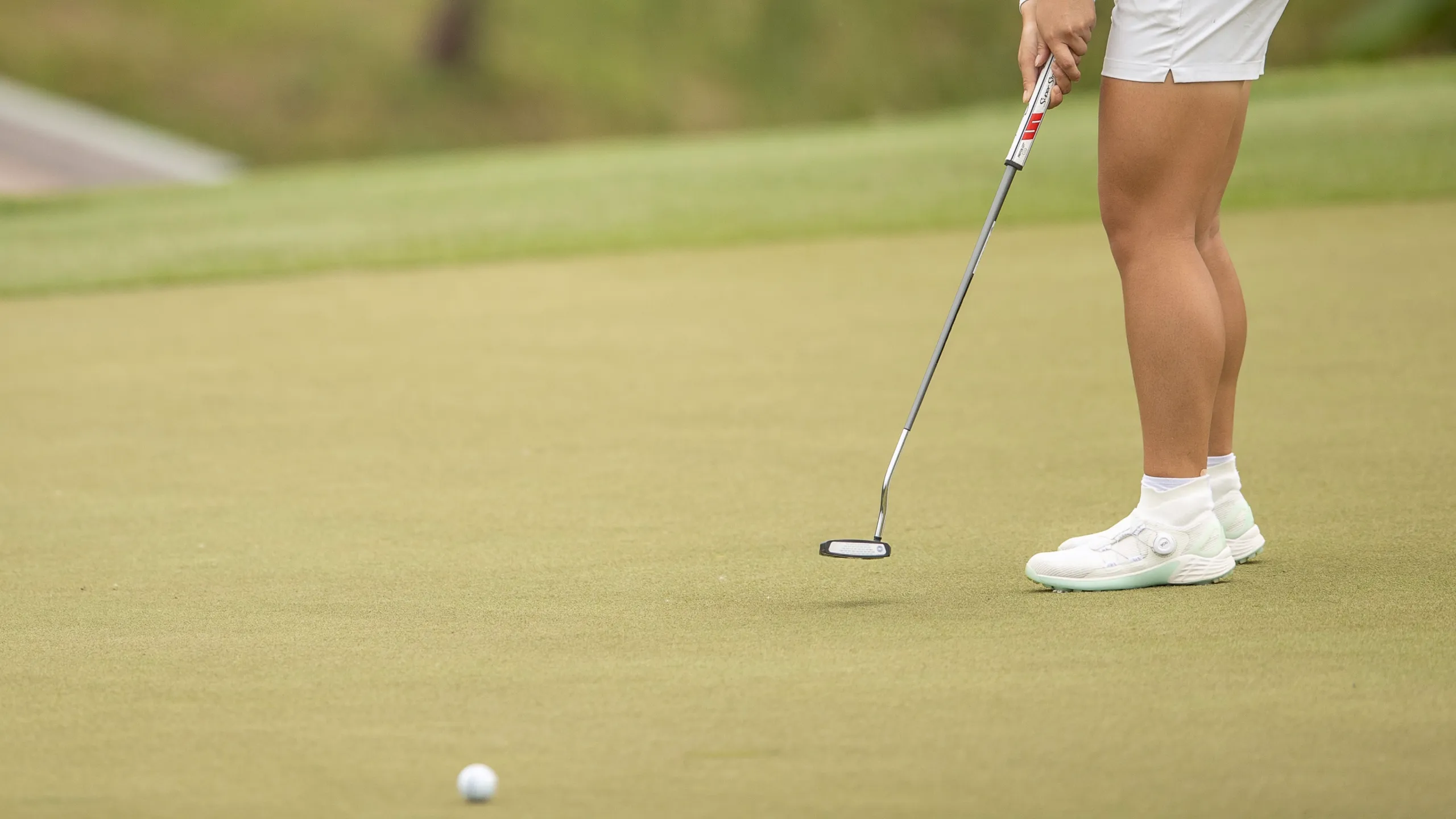Women's Amateur Championship (Semifinal)