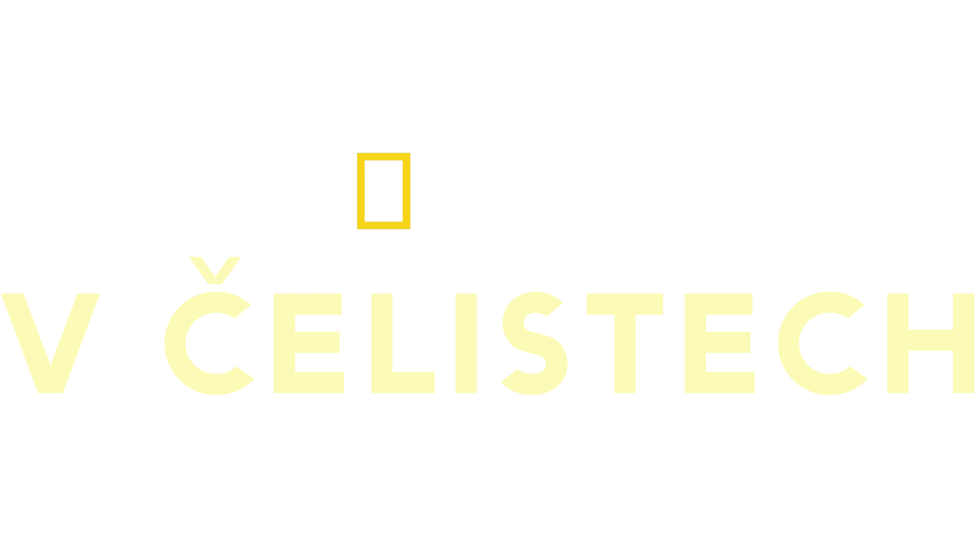 V čelistech