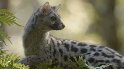 thumbnail - S1:E2 Iberia