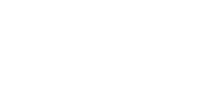 Állati barátaink