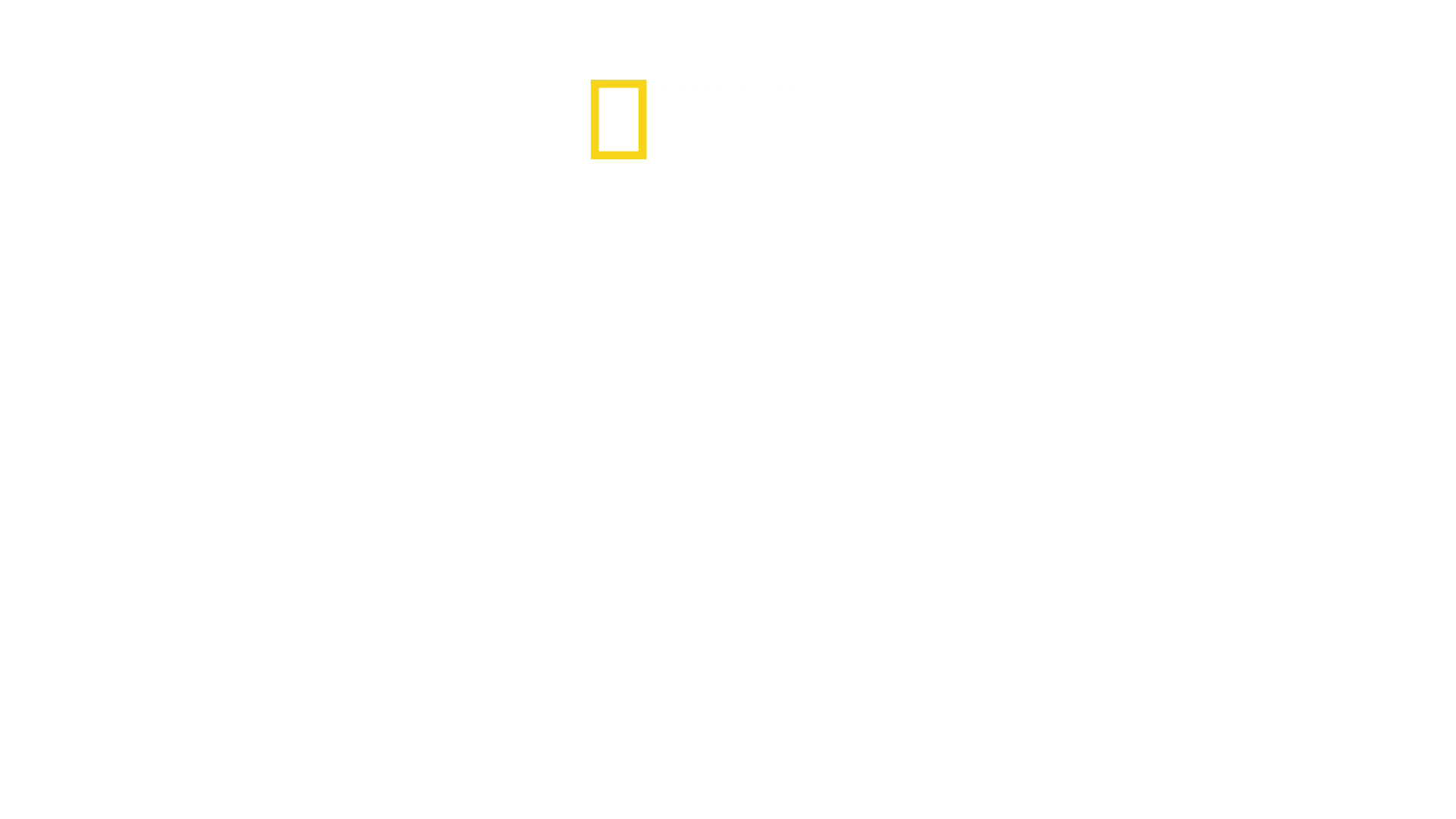 Bobi Wine: A nép elnöke