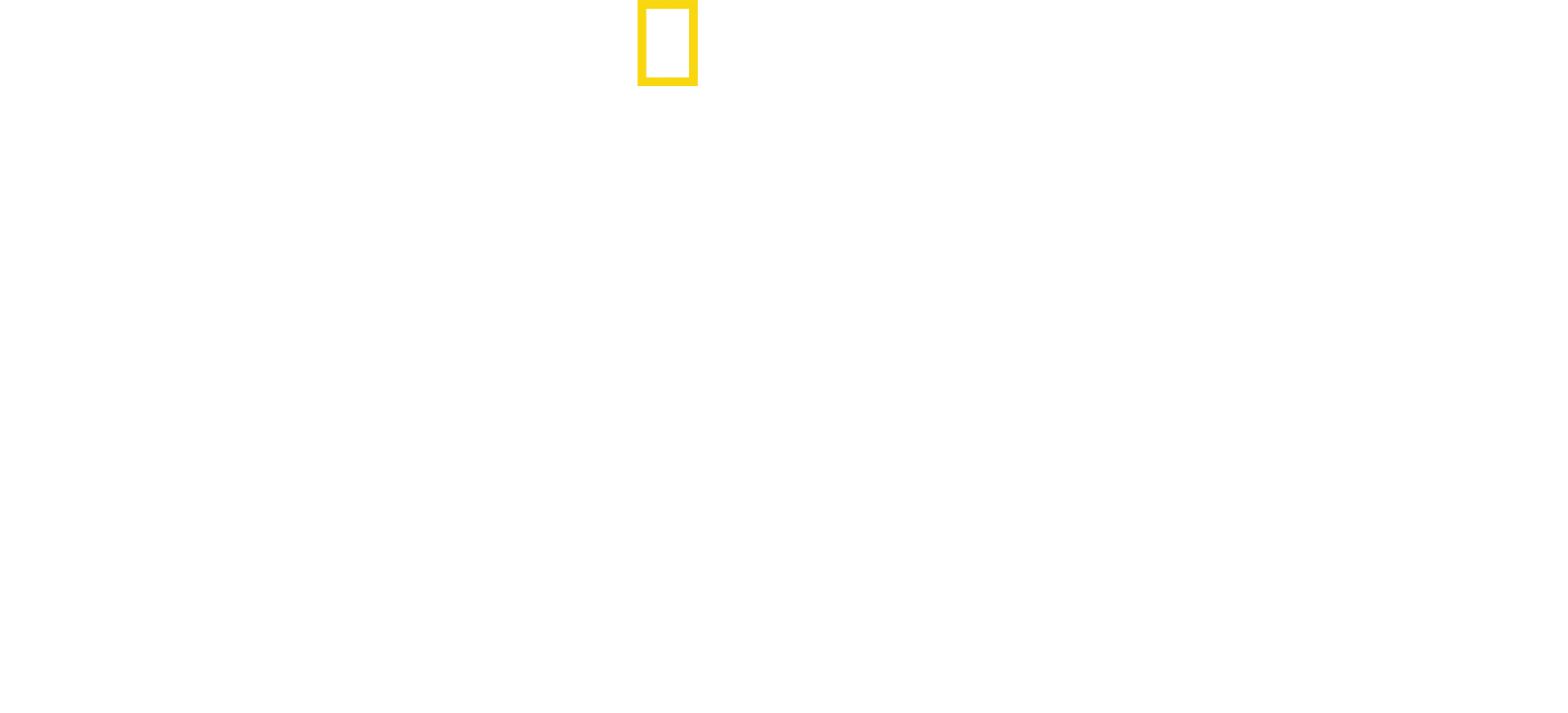 Bobi Wine: A nép elnöke