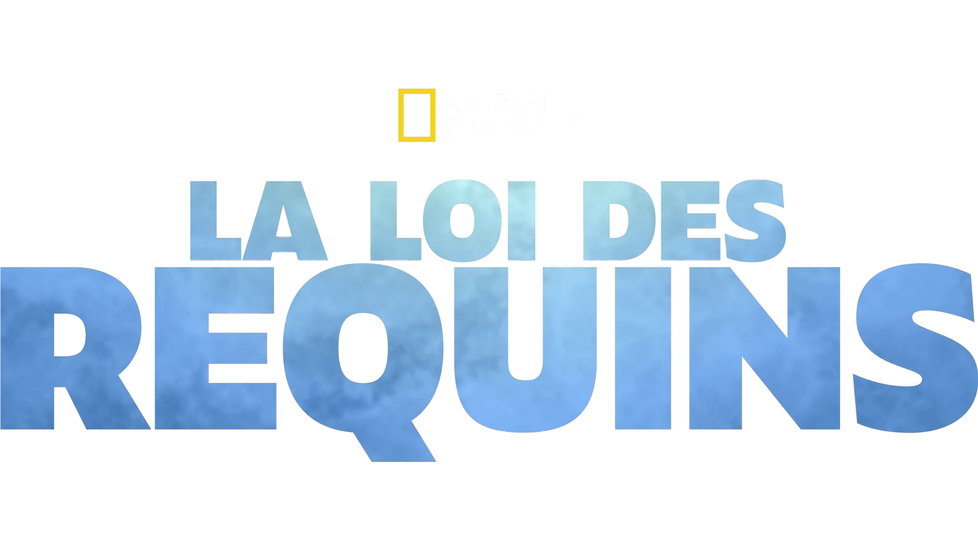 La loi des requins