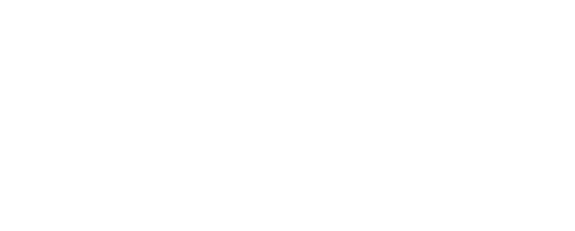 Husí kůže