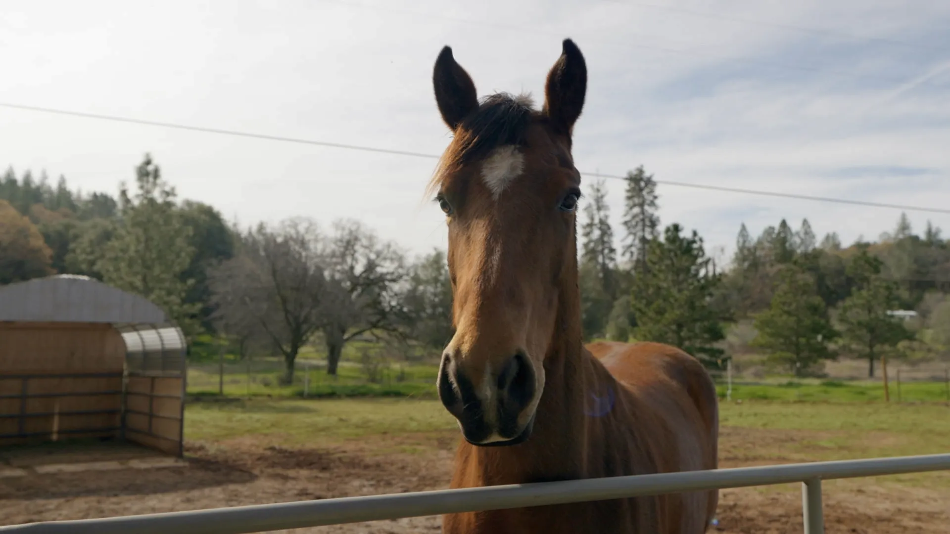 thumbnail - S1:E1 A Country Lifestyle