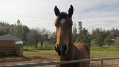 thumbnail - S1:E1 A Country Lifestyle