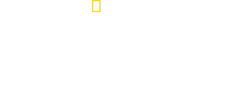 Elisabeth II: Elämä kuningattarena