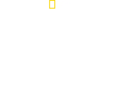 Lost Treasures of Rome