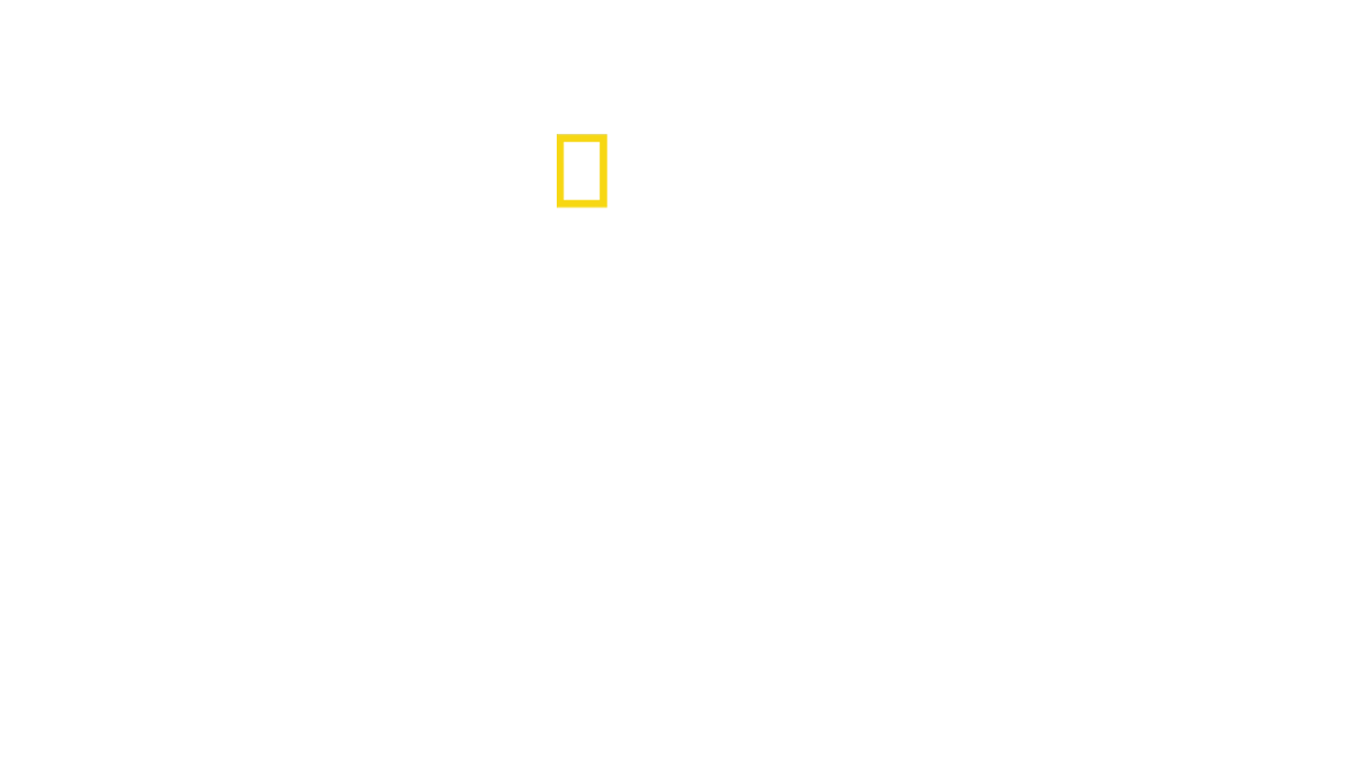 Baleias vs. Tubarões