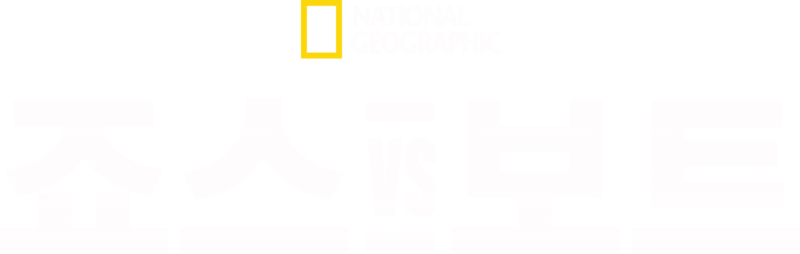 죠스 vs 보트